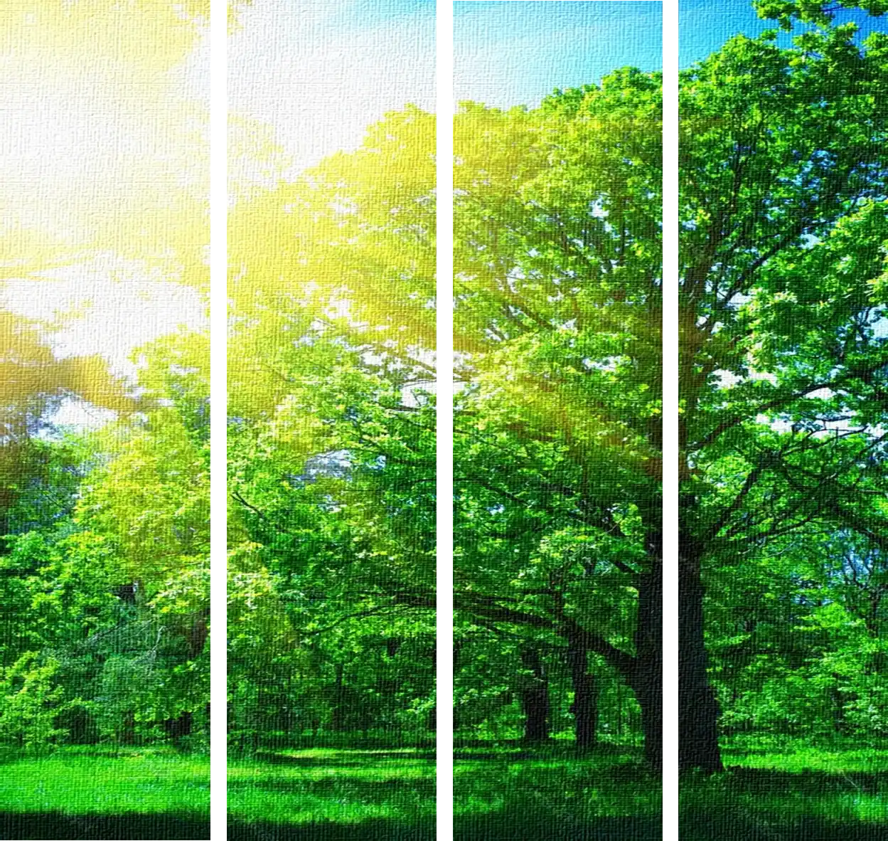 Foto-Mural