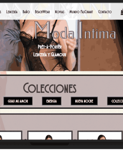 Tienda online 100 B2C